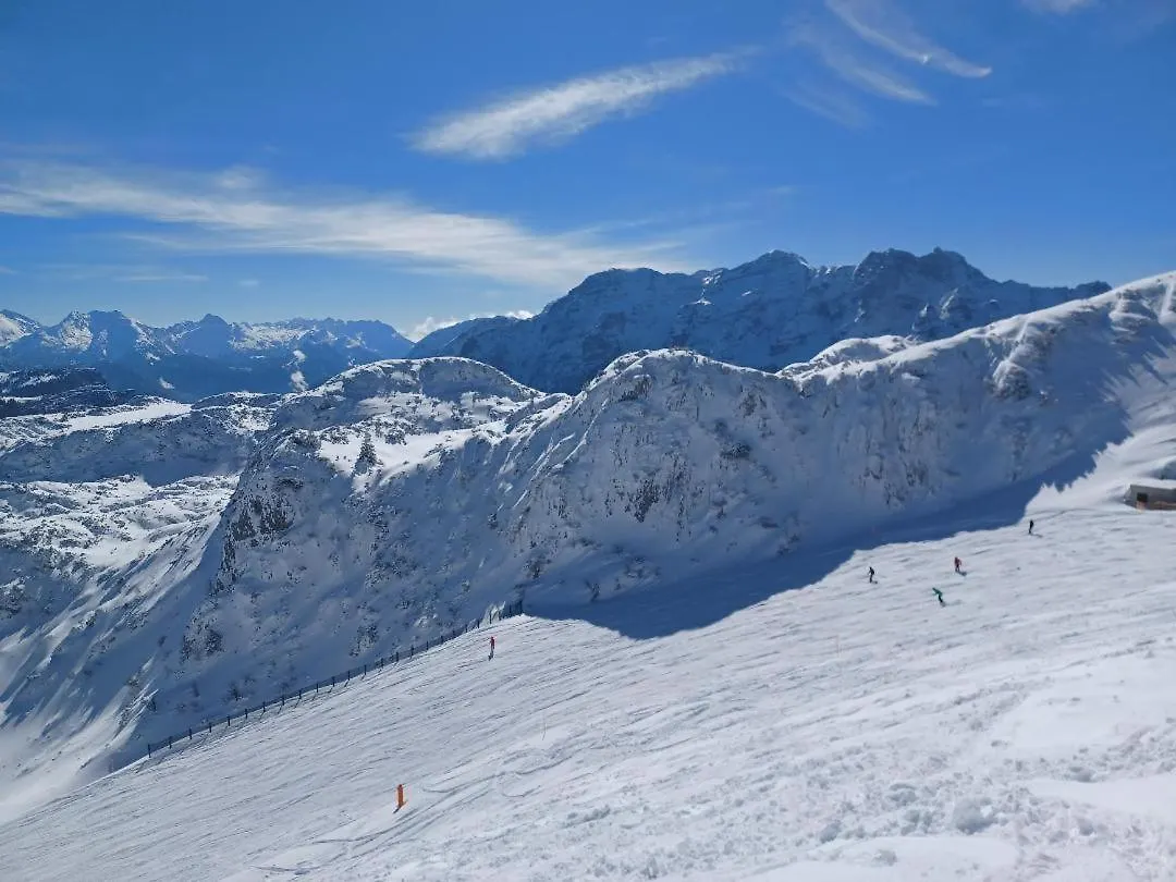 Alpen-Chalet Benzeck Reit im Winkl Almanya